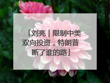 刘亮｜限制中美双向投资，特朗普断了谁的路