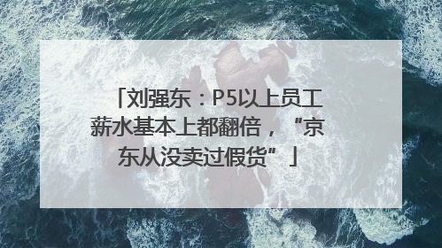 刘强东：P5以上员工薪水基本上都翻倍，“京东从没卖过假货”