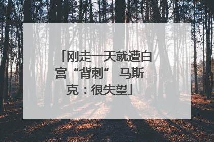 刚走一天就遭白宫“背刺” 马斯克：很失望