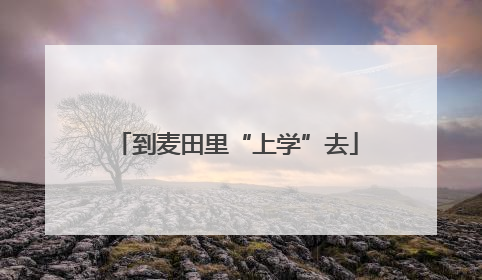 到麦田里“上学”去