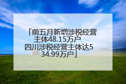 前五月新增涉税经营主体48.15万户 四川涉税经营主体达534.99万户