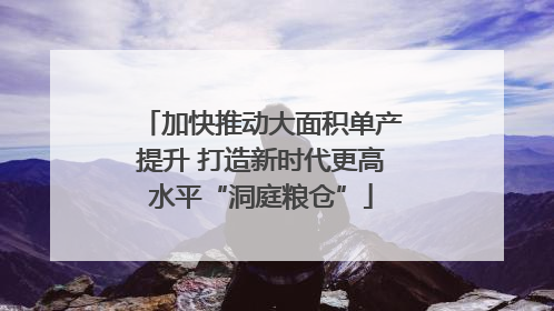 加快推动大面积单产提升 打造新时代更高水平“洞庭粮仓”