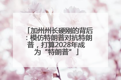 加州州长硬刚的背后：模仿特朗普对抗特朗普，打算2028年成为“特朗普”