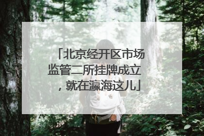 北京经开区市场监管二所挂牌成立，就在瀛海这儿