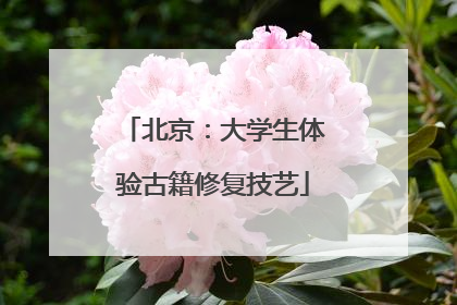北京：大学生体验古籍修复技艺