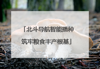 北斗导航智能播种 筑牢粮食丰产根基