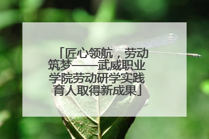 匠心领航，劳动筑梦——武威职业学院劳动研学实践育人取得新成果