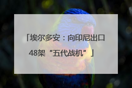 埃尔多安：向印尼出口48架“五代战机”
