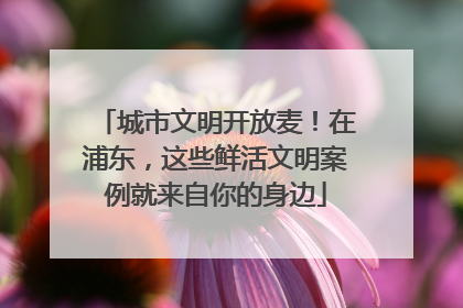 城市文明开放麦！在浦东，这些鲜活文明案例就来自你的身边