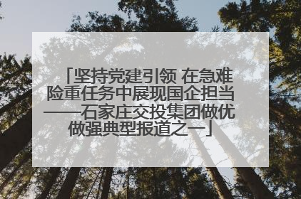 坚持党建引领 在急难险重任务中展现国企担当——石家庄交投集团做优做强典型报道之一