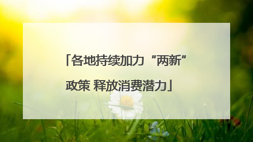各地持续加力“两新”政策 释放消费潜力