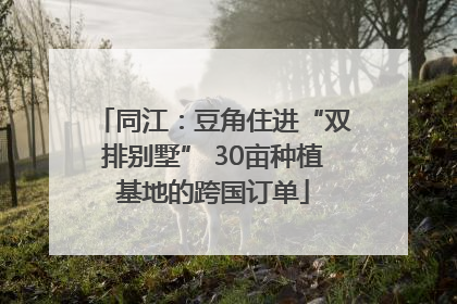 同江：豆角住进“双排别墅” 30亩种植基地的跨国订单