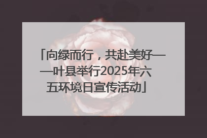 向绿而行，共赴美好——叶县举行2025年六五环境日宣传活动