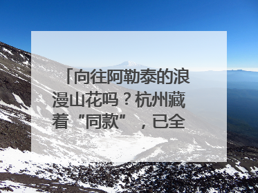 向往阿勒泰的浪漫山花吗？杭州藏着“同款”，已全面进入盛花期