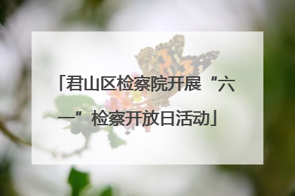 君山区检察院开展“六一”检察开放日活动