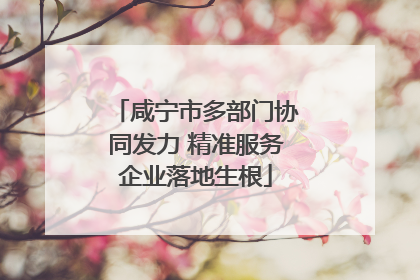 咸宁市多部门协同发力 精准服务企业落地生根