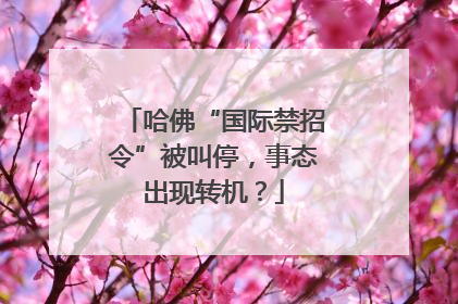 哈佛“国际禁招令”被叫停，事态出现转机？