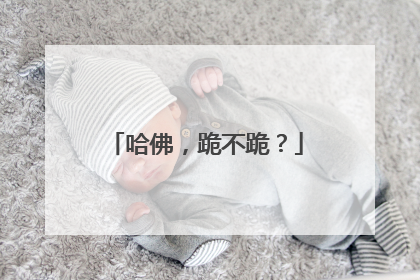 哈佛，跪不跪？