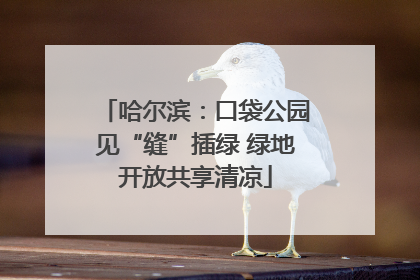 哈尔滨：口袋公园见“缝”插绿 绿地开放共享清凉