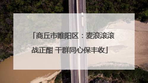 商丘市睢阳区：麦浪滚滚战正酣 干群同心保丰收