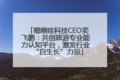 嗯噢哇科技CEO窦飞鹏：共创旅游专业能力认知平台，激发行业“自生长”力量