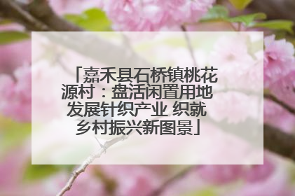 嘉禾县石桥镇桃花源村：盘活闲置用地发展针织产业 织就乡村振兴新图景