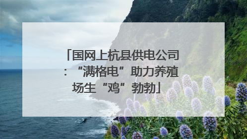 国网上杭县供电公司：“满格电”助力养殖场生“鸡”勃勃