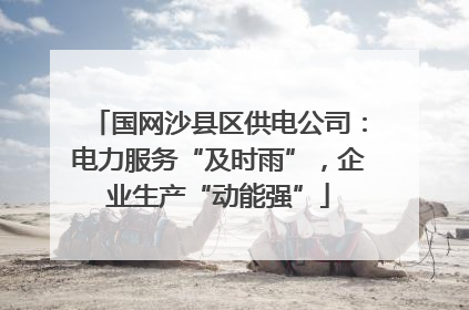 国网沙县区供电公司：电力服务“及时雨”，企业生产“动能强”