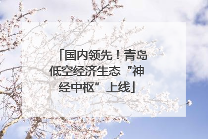 国内领先！青岛低空经济生态“神经中枢”上线