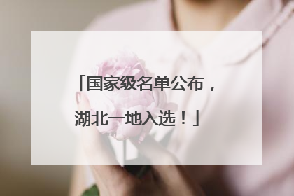 国家级名单公布，湖北一地入选！