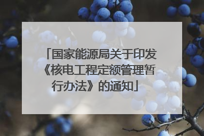 国家能源局关于印发《核电工程定额管理暂行办法》的通知