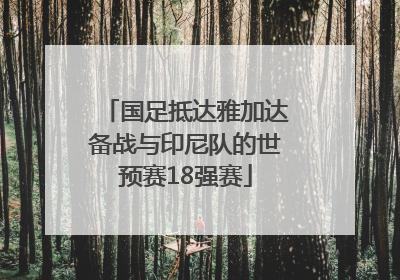 国足抵达雅加达备战与印尼队的世预赛18强赛