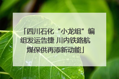 四川石化“小龙组”编组发运告捷 川内铁路航煤保供再添新动能