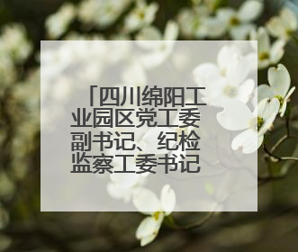 四川绵阳工业园区党工委副书记、纪检监察工委书记李玉琼 接受纪律审查和监察调查