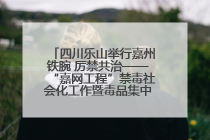 四川乐山举行嘉州铁腕 厉禁共治——“嘉网工程”禁毒社会化工作暨毒品集中销毁启动仪式