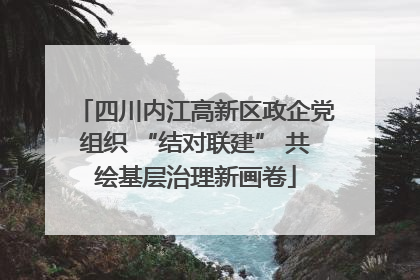 四川内江高新区政企党组织 “结对联建” 共绘基层治理新画卷