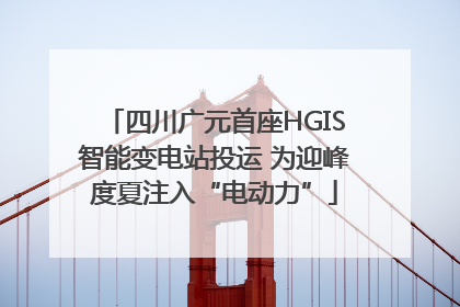 四川广元首座HGIS智能变电站投运 为迎峰度夏注入“电动力”
