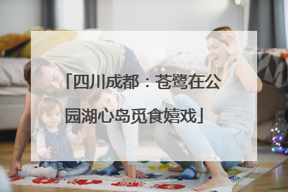 四川成都：苍鹭在公园湖心岛觅食嬉戏