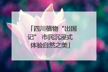四川植物“出国记” 市民沉浸式体验自然之美