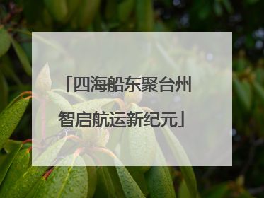 四海船东聚台州 智启航运新纪元