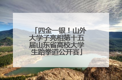 四金一银！山外大学子亮相第十五届山东省高校大学生跆拳道公开赛