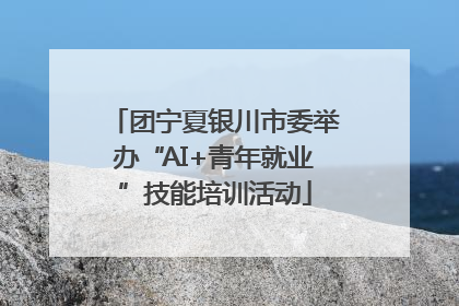 团宁夏银川市委举办“AI+青年就业”技能培训活动