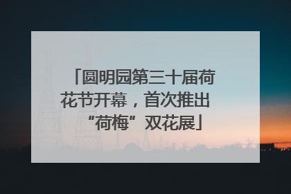 圆明园第三十届荷花节开幕，首次推出“荷梅”双花展