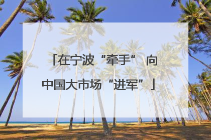 在宁波“牵手” 向中国大市场“进军”