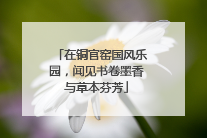 在铜官窑国风乐园，闻见书卷墨香与草本芬芳