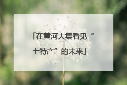 在黄河大集看见“土特产”的未来