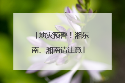 地灾预警！湘东南、湘南请注意