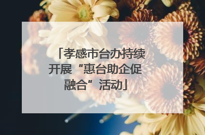孝感市台办持续开展“惠台助企促融合”活动