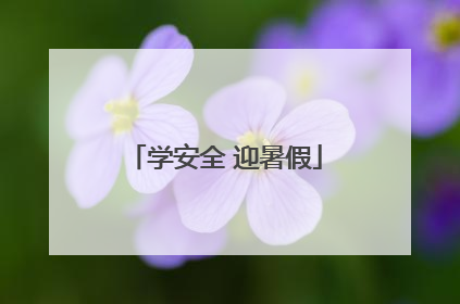 学安全 迎暑假