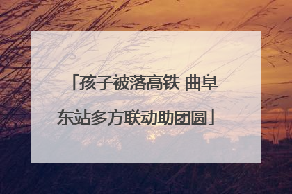 孩子被落高铁 曲阜东站多方联动助团圆